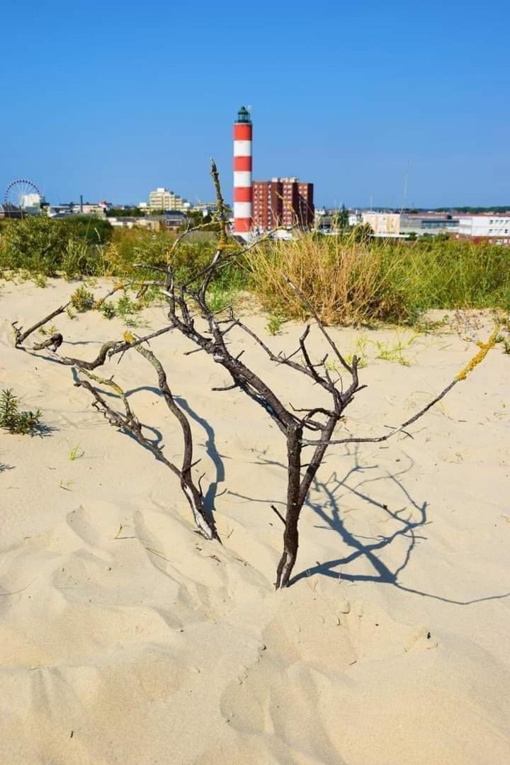 L'Alteia - L'Appartement Les Pieds Dans L'Eau Avec Place De Parking Prive Et Acces Direct A La Plage Berck Eksteriør bilde